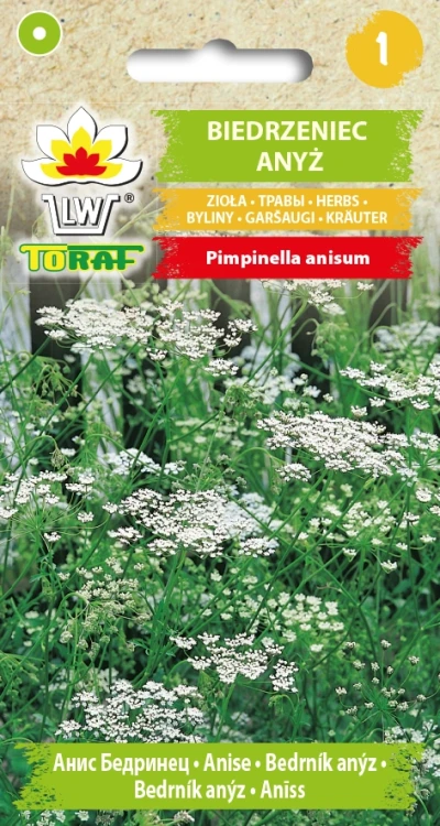 Biedrzeniec-anyż.webp