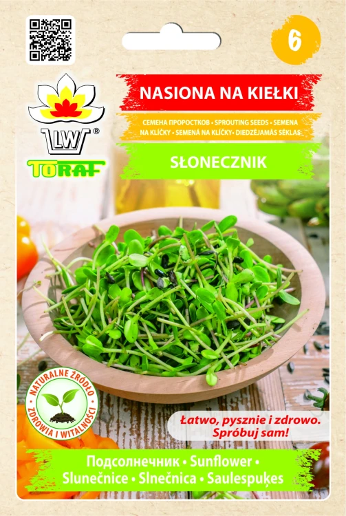słonecznik.webp
