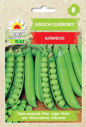 Groch-IŁÓWIECKI.webp