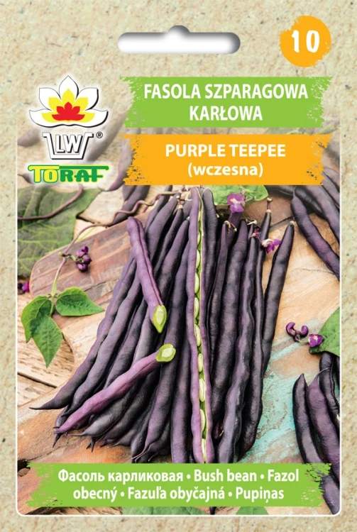 Fasola-PURPLE-TEEPEE.webp