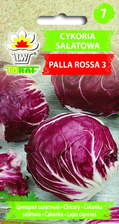 Cykoria-sałatowa-PALLA-ROSA-3.webp
