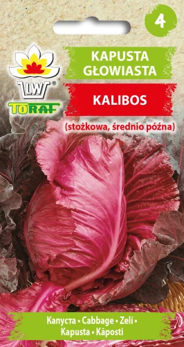 Kapusta-głowiasta-czerwona-KALIBOS.webp