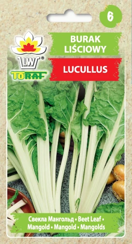 Burak-liściowy-LUCULLUS.webp