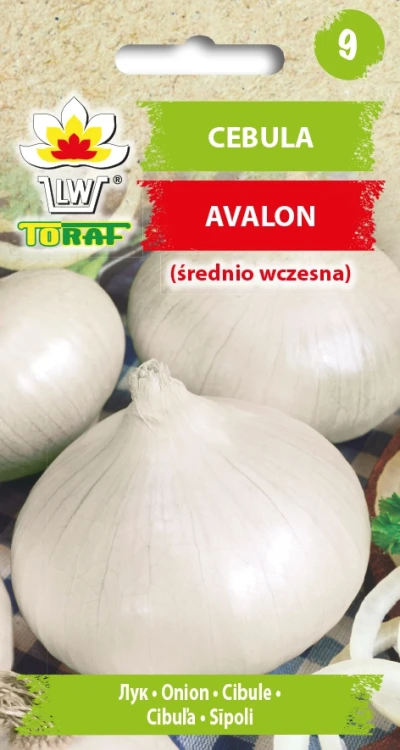 Cebula-biała-AVALON.webp