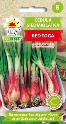 Cebula-SIEDMIOLATKA-RED-TOGA.webp