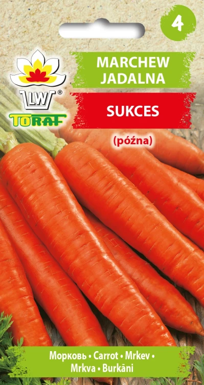 Marchew-jadalna-SUKCES.webp