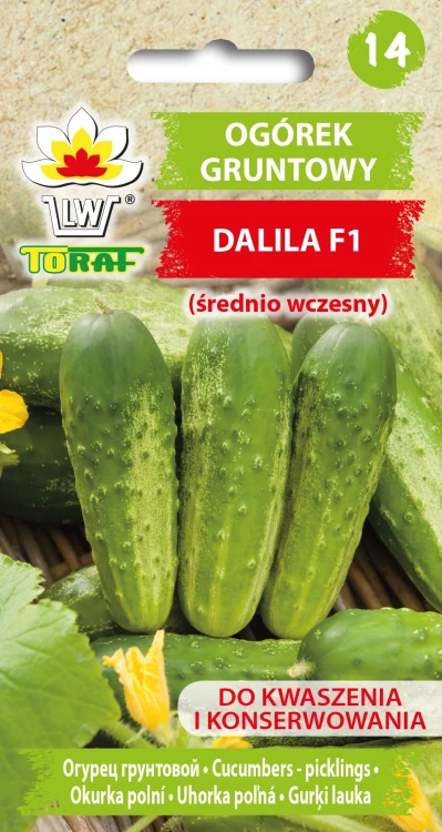 Ogórek-gruntowy-DALILA.webp