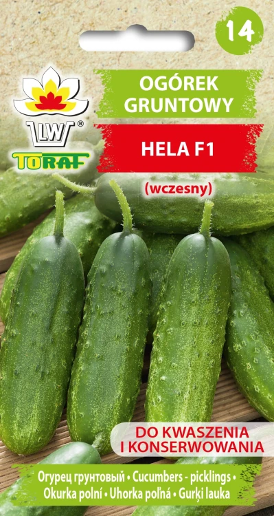 Ogórek-HELA.webp