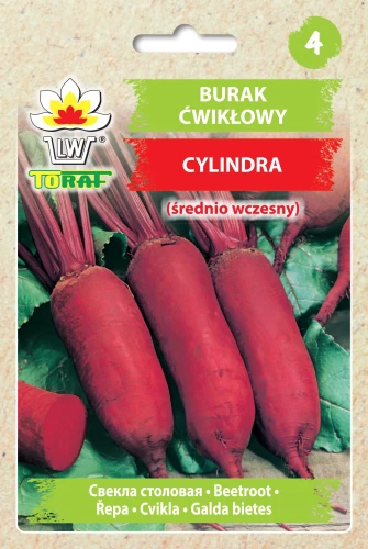 burak-cwiklowy-cylindra.webp