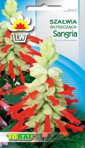 szałwia-sangria.webp