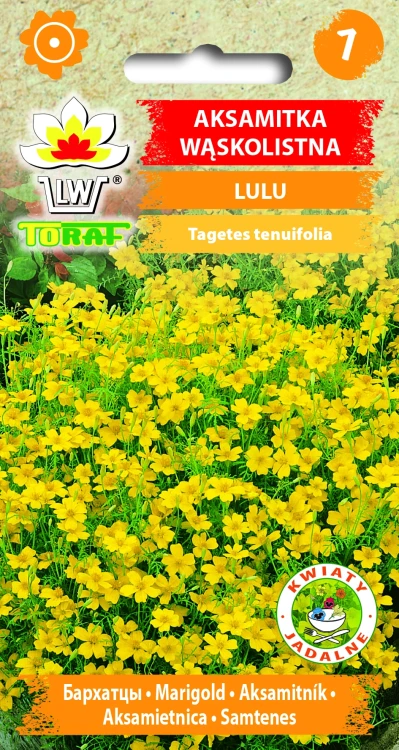 Aksamitka-wąskolistna-LULU.webp