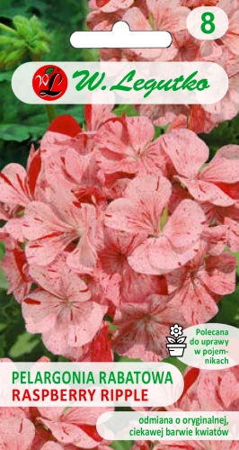 pelargonia-raspberry-ripple.webp