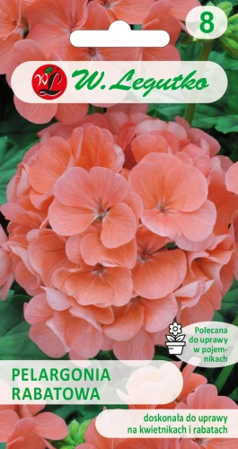 pelargonia-rabatowa-łososiowa.webp