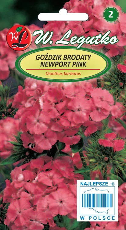 Gozdzik-brodaty-Newport-Pink.webp