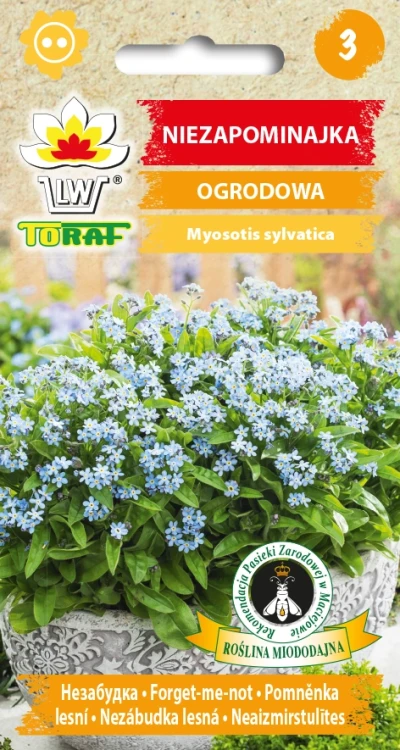 Niezapominajka-OGRODOWA-niebieska.webp