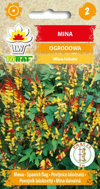 Mina-OGRODOWA.webp