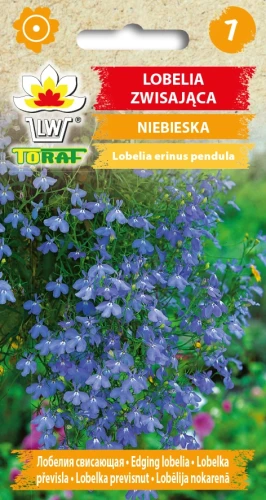 Lobelia-zwisająca-NIEBIESKA.webp