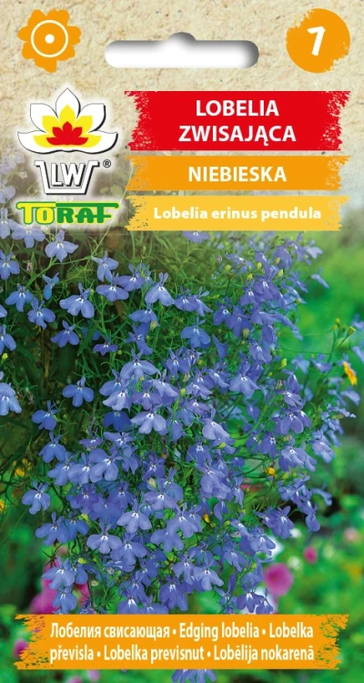 Lobelia-zwisająca-NIEBIESKA.webp