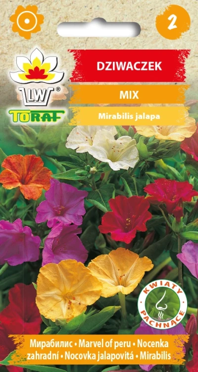 Dziwaczek-MIX.webp