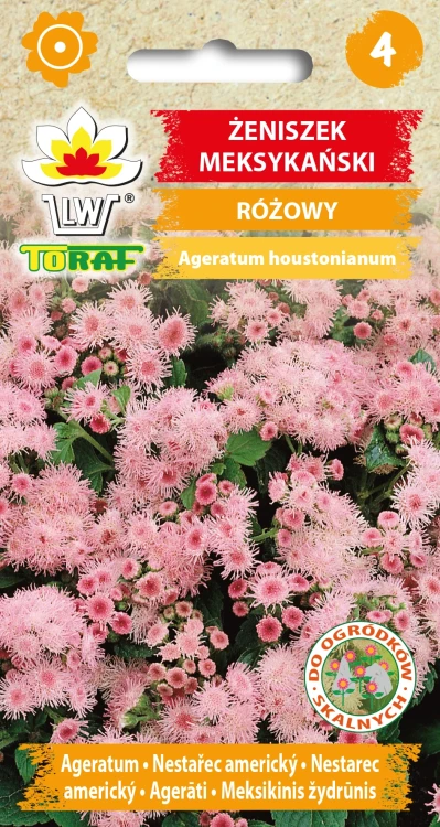 Żeniszek-meksykański-RÓŻOWY.webp