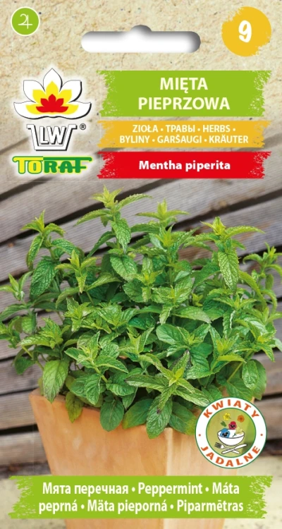 Mięta-Pieprzowa.webp