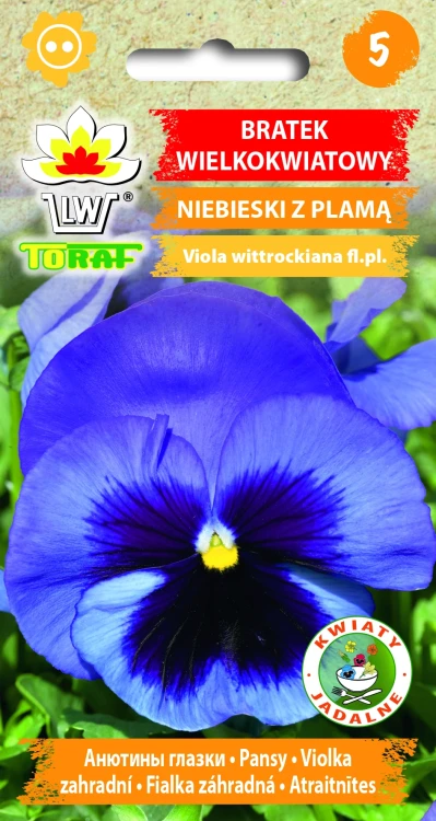 Bratek-wielkokwiatowy-NIEBIESKI-Z-PLAMĄ.webp