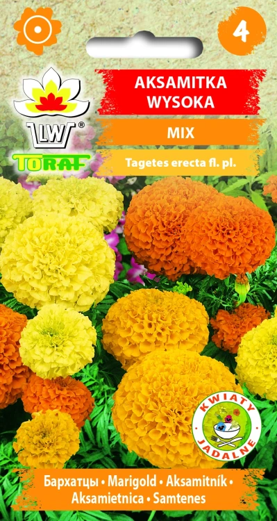 Aksamitka-wysoka-MIX.webp