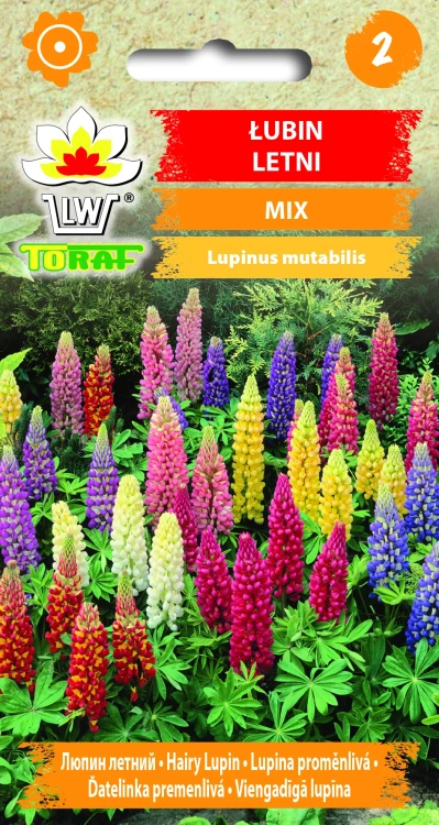 Łubin-roczny-mix.webp