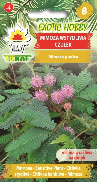 Mimoza-wstydliwa-czułek.webp