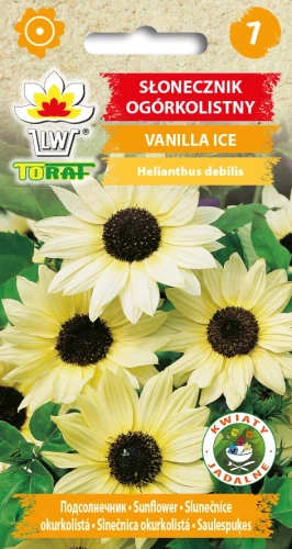 Słonecznik-Ogórkolistny-Valilla-Ice.webp
