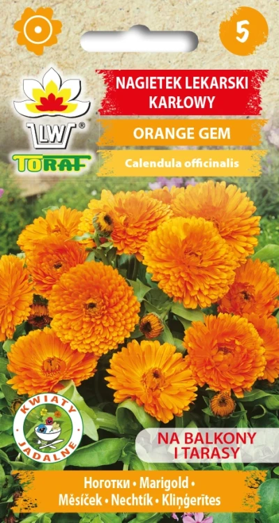 Nagietek-lekarski-karłowy-ORANGE-GEM.webp