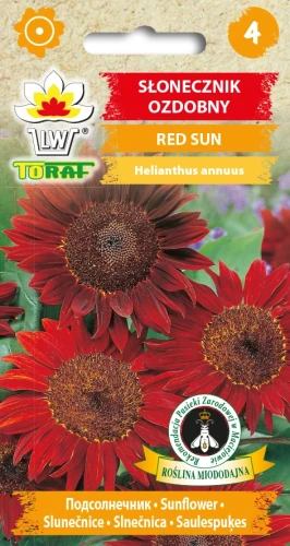 Słonecznik-ozdobny-RED-SUN.webp