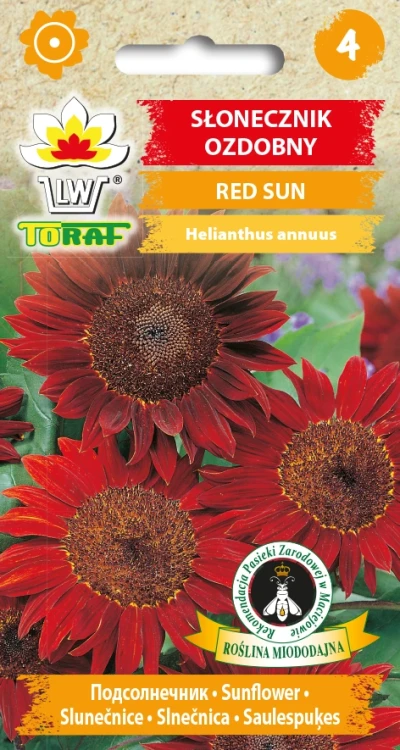 Słonecznik-ozdobny-RED-SUN.webp