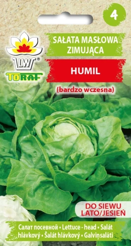 Sałata-HUMIL.webp
