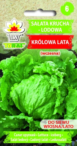 Sałata-KRÓLOWA-LATA.webp