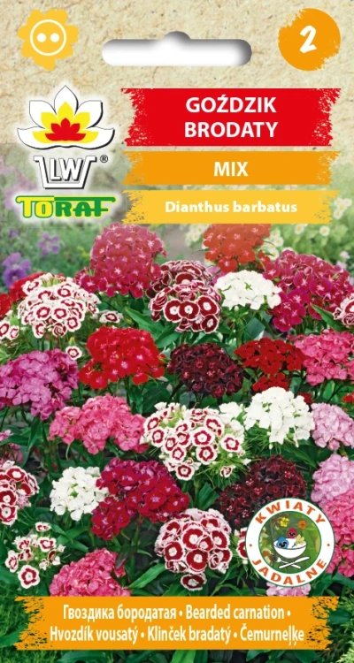 Goździk-BRODATY-MIX.webp