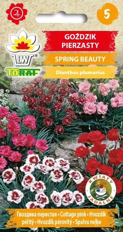 Goździk-PIERZASTY-SPRING-BEAUTY.webp