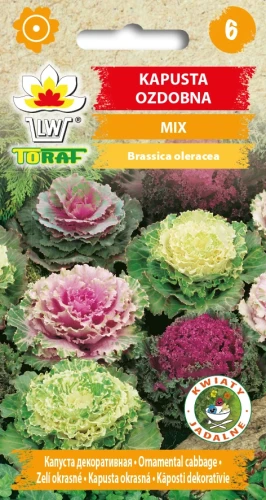 Kapusta-ozdobna-MIX.webp