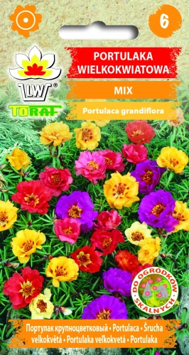 Portulaka-wielkokwiatowa-MIX.webp