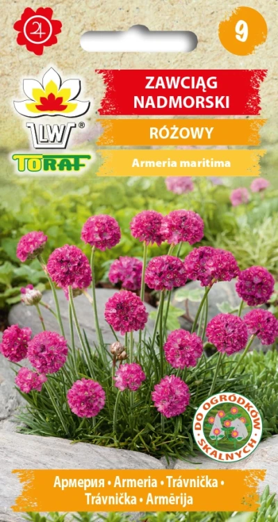 Zawciag-nadmorski-RÓŻOWY.webp