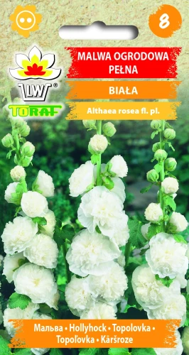 Malwa-ogrodowa-pełna-biała.webp