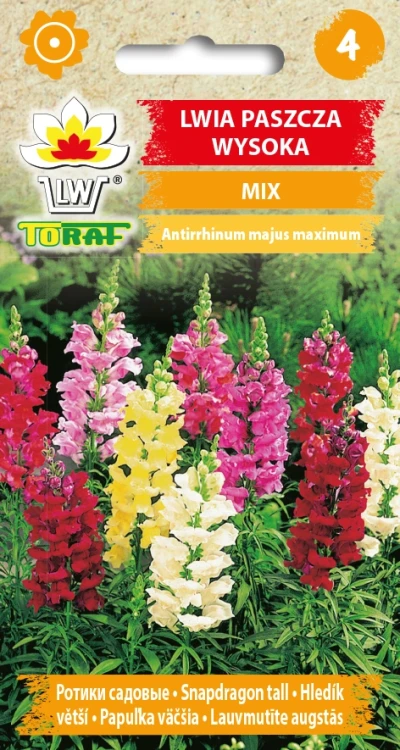 Lwia-paszcza-wysoka-MIX.webp