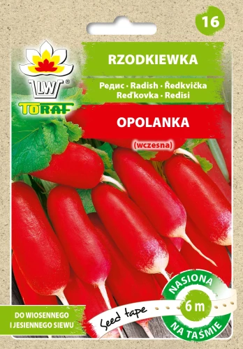rzodkiewka-opolanka-tasma.webp