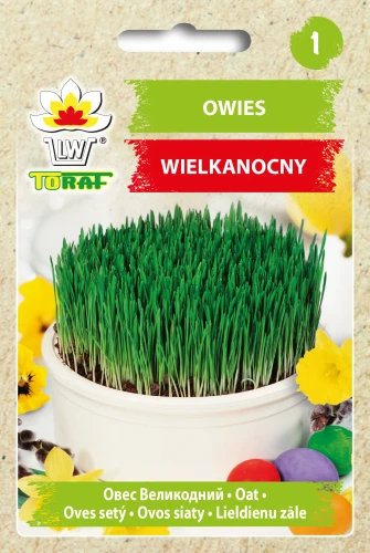 Owies-wielkanocny.webp