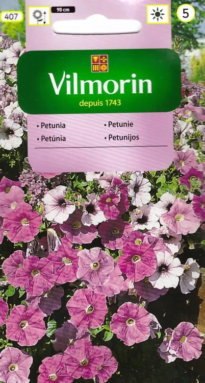 petunia-zwisajaca-mix.webp