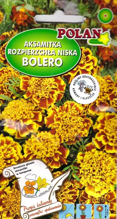 aksamitka-bolero.webp