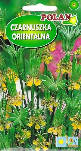 czarnuszka-orientalna.webp