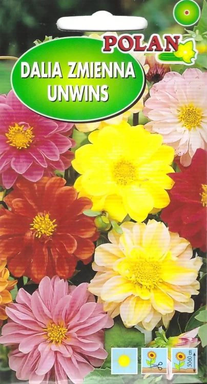 dalia-unwins.webp