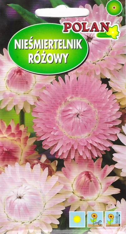 nieśmiertelnik-różowy.webp