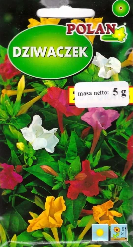 dziwaczek.webp